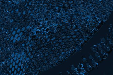 soyut doku, grunge arkaplan, boşluk duvar kağıdını kopyala      