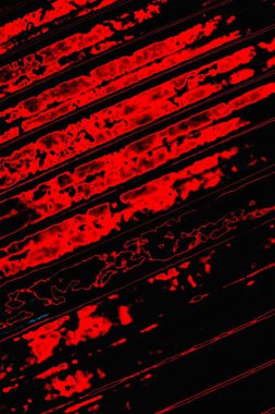 soyut mavi ve kırmızı doku, grunge arkaplan, boşluk duvar kağıdını kopyala