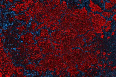 soyut doku, grunge arkaplan, boşluk duvar kağıdını kopyala  