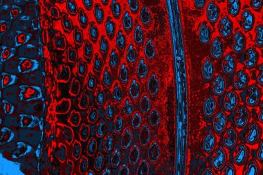 soyut mavi ve kırmızı doku, grunge arkaplan, boşluk duvar kağıdını kopyala