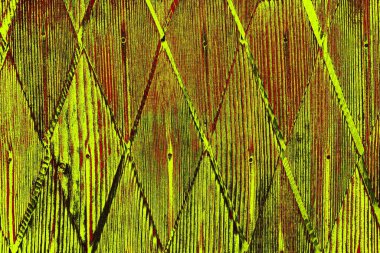  grunge arkaplanı, boşluk duvar kağıdını kopyala, soyut renkli doku arkaplanı