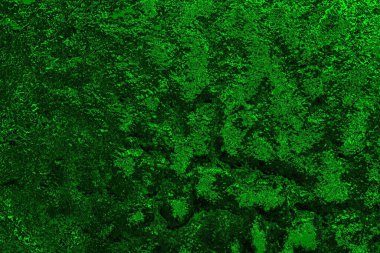 Soyut renk dokusu, grunge arkaplanı, boşluk duvar kağıdını kopyala