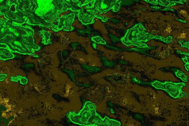 soyut yeşil doku arkaplanı, boşluk duvar kağıdını kopyala