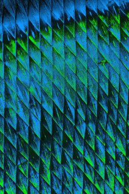 Boşluk duvar kağıdını, grunge arkaplanını, soyut renkli doku arkaplanını kopyala