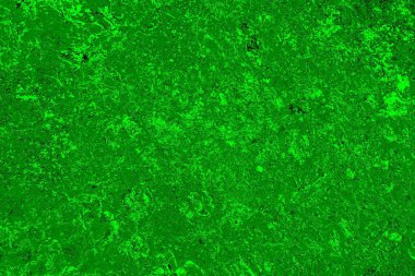 soyut yeşil doku arkaplanı, boşluk duvar kağıdını kopyala