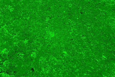soyut yeşil doku arkaplanı, boşluk duvar kağıdını kopyala