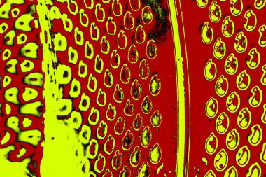 Soyut pejmürde bir doku. Asit grunge arkaplanı, metin veya reklamınız için boşluk resmini kopyala