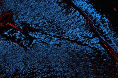 soyut mavi ve kırmızı doku, grunge arkaplan, boşluk duvar kağıdını kopyala