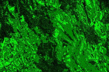 soyut yeşil doku arkaplanı, boşluk duvar kağıdını kopyala