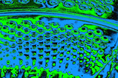 soyut yeşil doku, arkaplan, duvar kağıdını kopyala