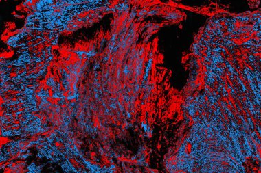 Soyut renk dokusu, grunge arkaplanı, boşluk duvar kağıdını kopyala