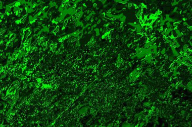 soyut yeşil doku arkaplanı, boşluk duvar kağıdını kopyala