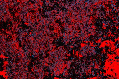 Renkli doku arkaplanı, boşluk duvar kağıdını kopyala