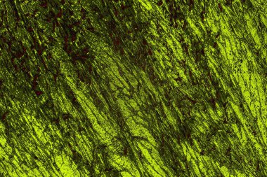 Soyut arkaplan renkli modern desen 