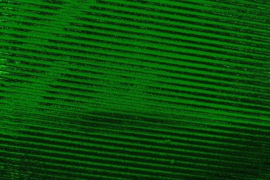 soyut yeşil doku arkaplanı, boşluk duvar kağıdını kopyala