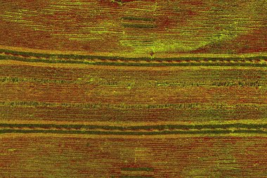 Boşluk duvar kağıdını, grunge arkaplanını, soyut renkli doku arkaplanını kopyala