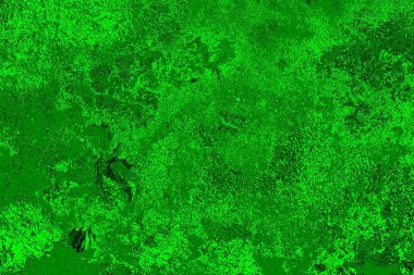 yeşil doku arkaplanı, boşluk duvar kağıdını kopyala