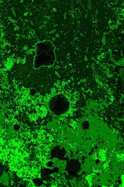 soyut yeşil doku arkaplanı, boşluk duvar kağıdını kopyala