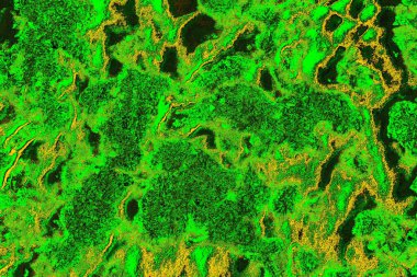 Soyut renk dokusu, grunge arkaplanı, boşluk duvar kağıdını kopyala