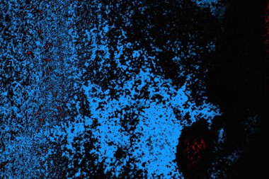 soyut mavi ve kırmızı doku, grunge arkaplan, boşluk duvar kağıdını kopyala