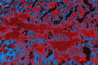 soyut mavi ve kırmızı doku, grunge arkaplan, boşluk duvar kağıdını kopyala