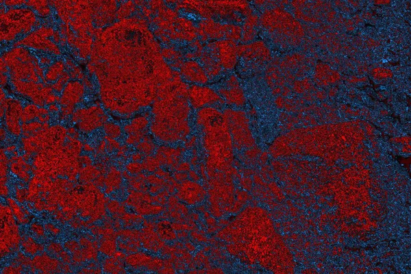 soyut mavi ve kırmızı doku, grunge arkaplan, boşluk duvar kağıdını kopyala