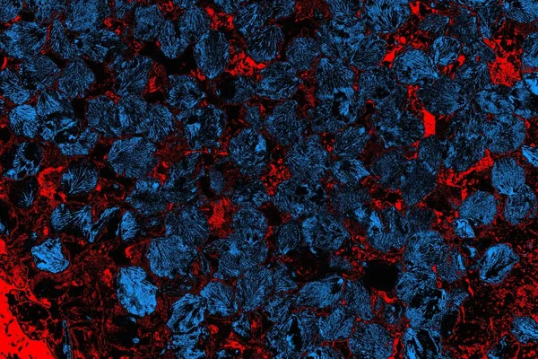 soyut mavi ve kırmızı doku, grunge arkaplan, boşluk duvar kağıdını kopyala