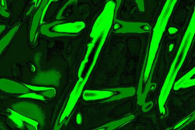 soyut yeşil doku arkaplanı, boşluk duvar kağıdını kopyala