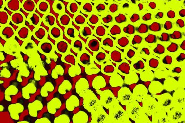 Soyut pejmürde bir doku. Asit grunge arkaplanı, metin veya reklamınız için boşluk resmini kopyala