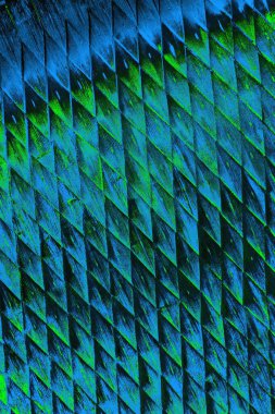 Boşluk duvar kağıdını, grunge arkaplanını, soyut renkli doku arkaplanını kopyala