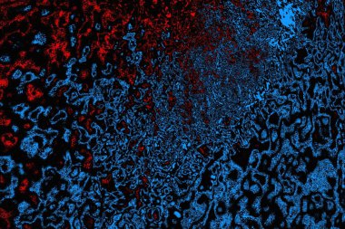 soyut mavi ve kırmızı doku, grunge arkaplan, boşluk duvar kağıdını kopyala