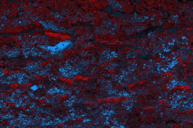 Soyut renk dokusu, grunge arkaplanı, boşluk duvar kağıdını kopyala