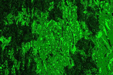 soyut yeşil doku arkaplanı, boşluk duvar kağıdını kopyala