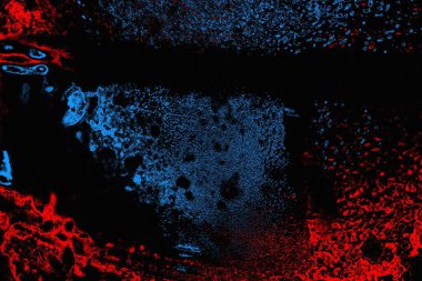 soyut mavi ve kırmızı doku, grunge arkaplan, boşluk duvar kağıdını kopyala