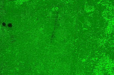 soyut yeşil doku, arkaplan, duvar kağıdını kopyala