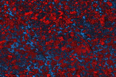 Soyut renk dokusu, grunge arkaplanı, boşluk duvar kağıdını kopyala