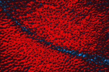 soyut doku, grunge arkaplan, boşluk duvar kağıdını kopyala  