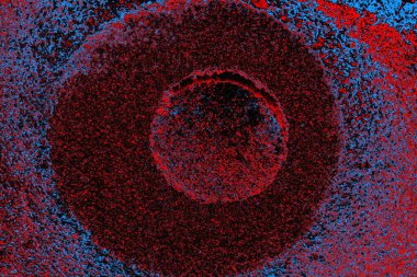 parlak kırmızı doku arkaplanı, boşluk duvar kağıdını kopyala