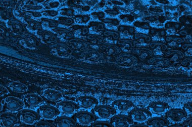 soyut doku, grunge arkaplan, boşluk duvar kağıdını kopyala      