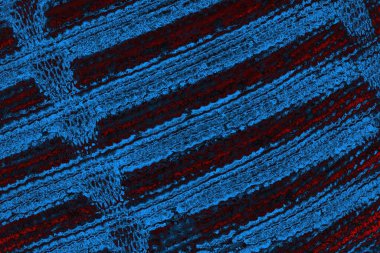 soyut mavi ve kırmızı doku, grunge arkaplan, boşluk duvar kağıdını kopyala