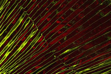 soyut renkli doku arkaplanı, uzay duvar kağıdını kopyala