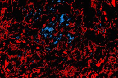 soyut mavi ve kırmızı doku, grunge arkaplan, boşluk duvar kağıdını kopyala