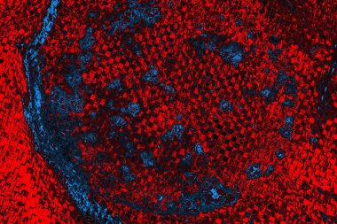 soyut mavi ve kırmızı doku, grunge arkaplan, boşluk duvar kağıdını kopyala