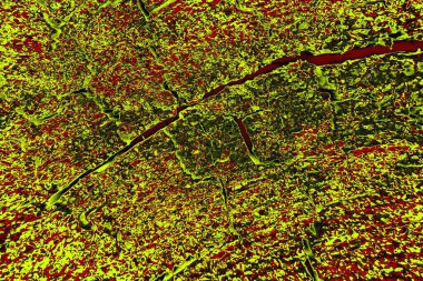  grunge arkaplanı, boşluk duvar kağıdını kopyala, soyut renkli doku arkaplanı