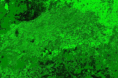 soyut yeşil doku arkaplanı, boşluk duvar kağıdını kopyala