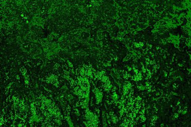 Soyut renk dokusu, grunge arkaplanı, boşluk duvar kağıdını kopyala