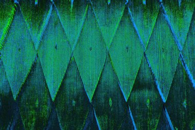 Boşluk duvar kağıdını, grunge arkaplanını, soyut renkli doku arkaplanını kopyala