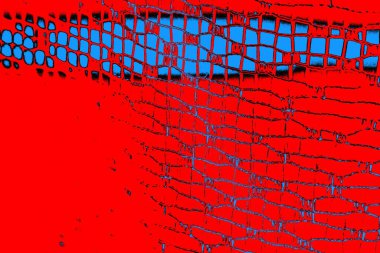 Soyut renk dokusu, grunge arkaplanı, boşluk duvar kağıdını kopyala