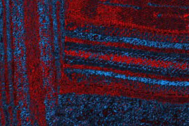 Soyut renk dokusu, grunge arkaplanı, boşluk duvar kağıdını kopyala