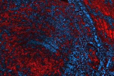 soyut doku, grunge arkaplan, boşluk duvar kağıdını kopyala   